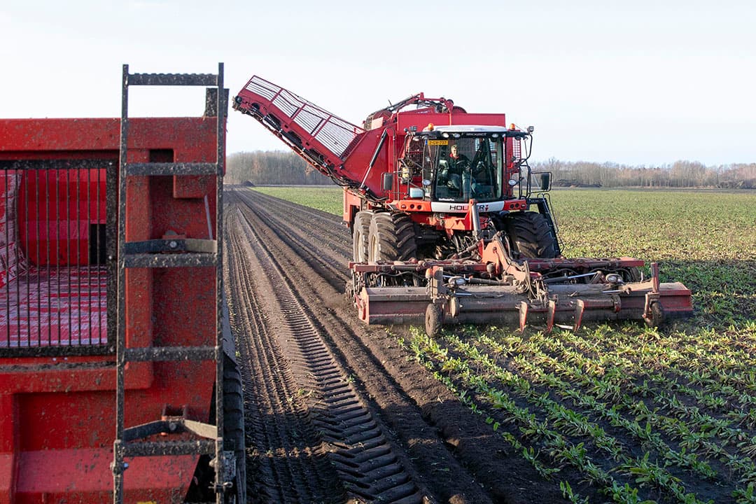 Spaanse boeren zijn het niet eens met het beleid van de centrale overheid.  'Als het platteland stopt, eet de stad niet', staat er op de borden te lezen. - Foto: EPA