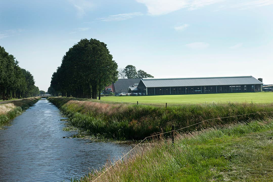 Foto: Hans Banus