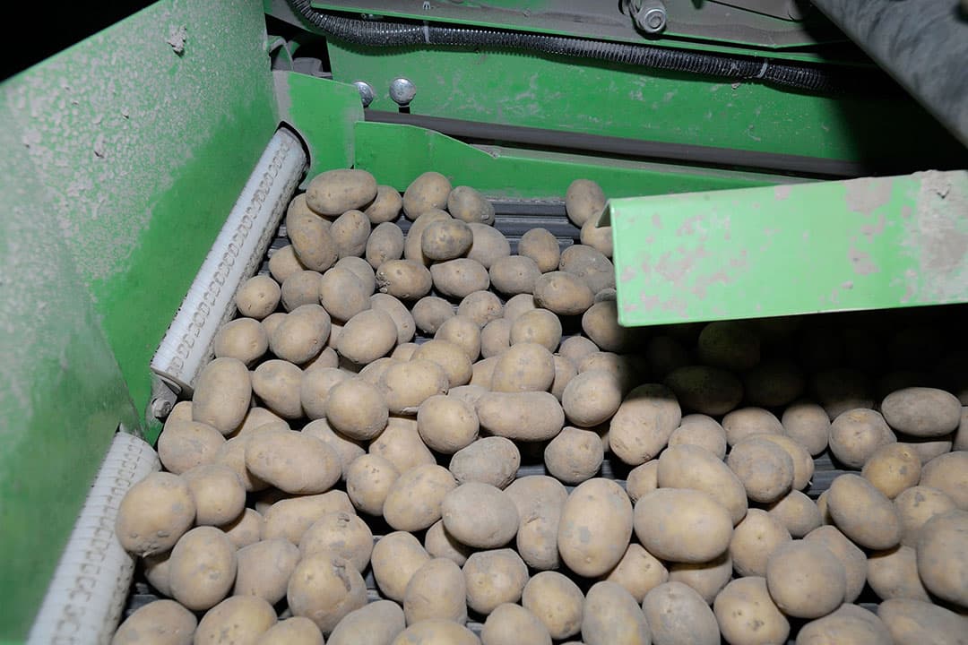Foto: Frank Uijlenbroek