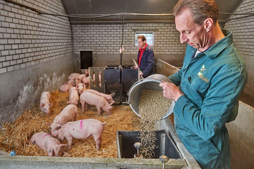 Foto: Van Assendelft Fotografie