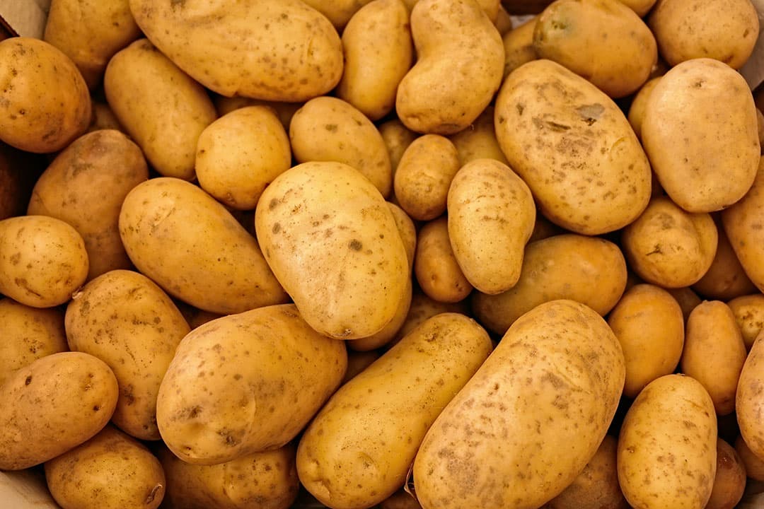 Foto: Boerderij