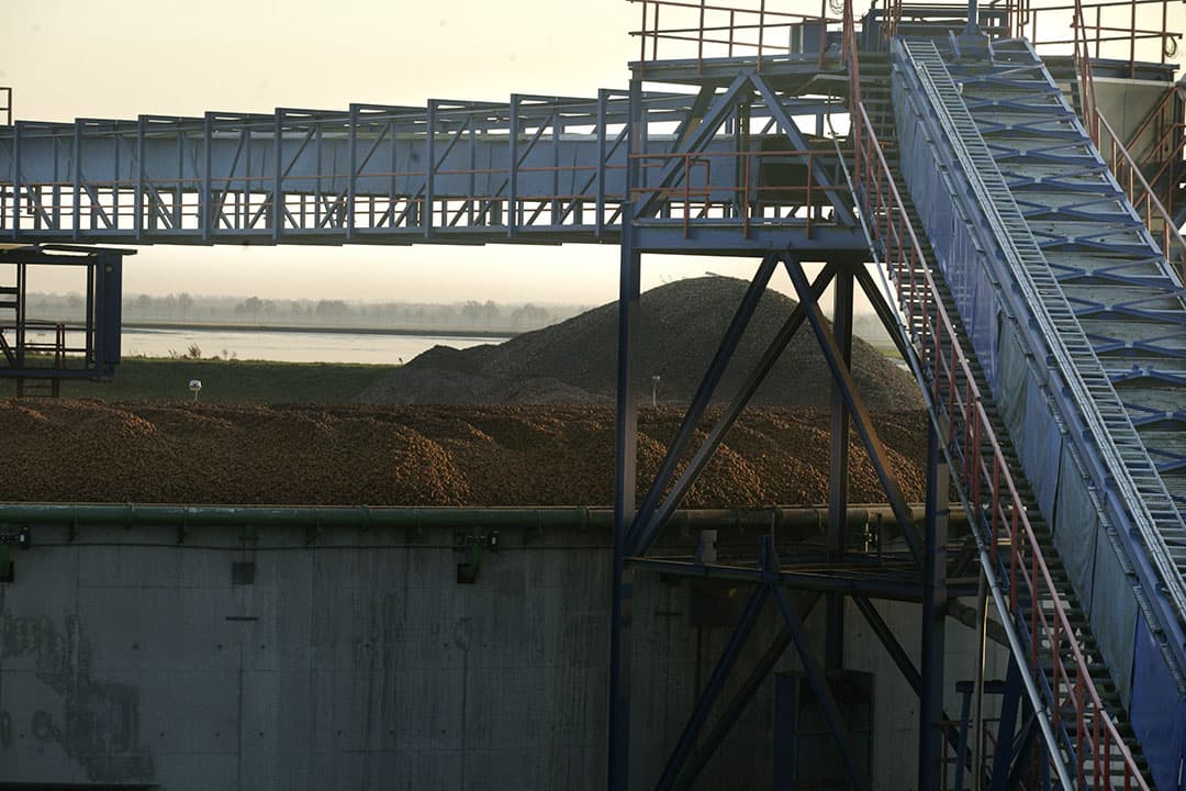 Foto: Hans Prinsen