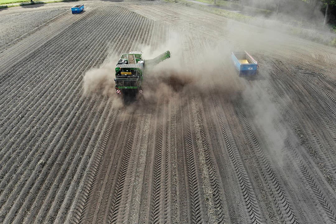 Foto: Hans Prinsen
