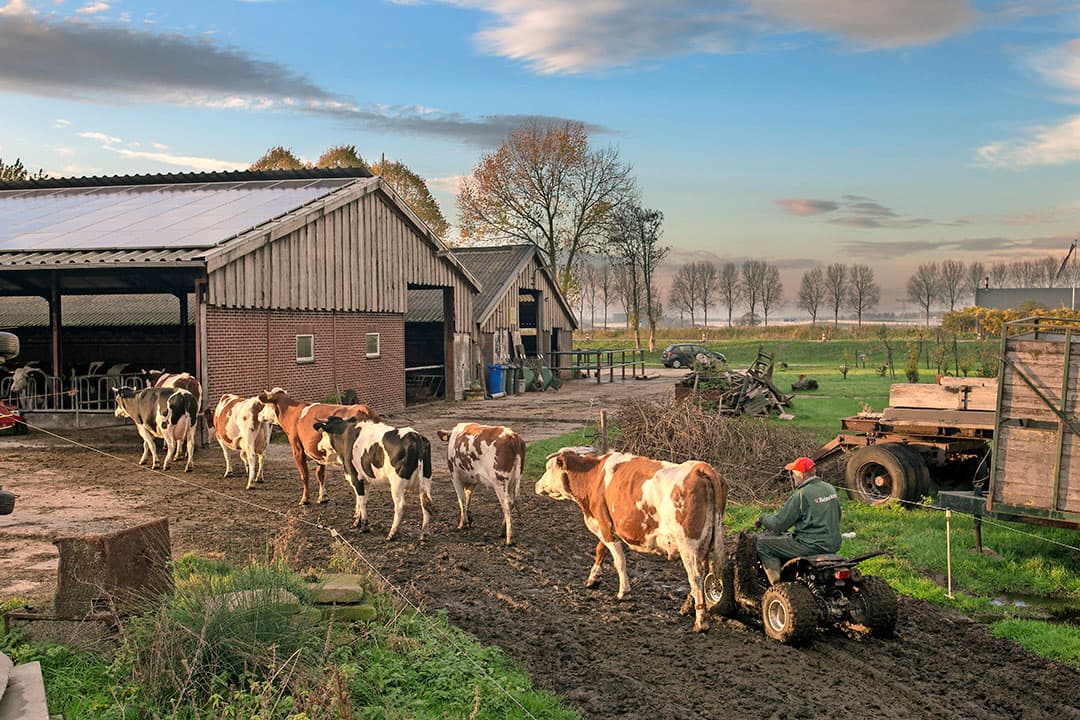 Foto: Ton Kastermans