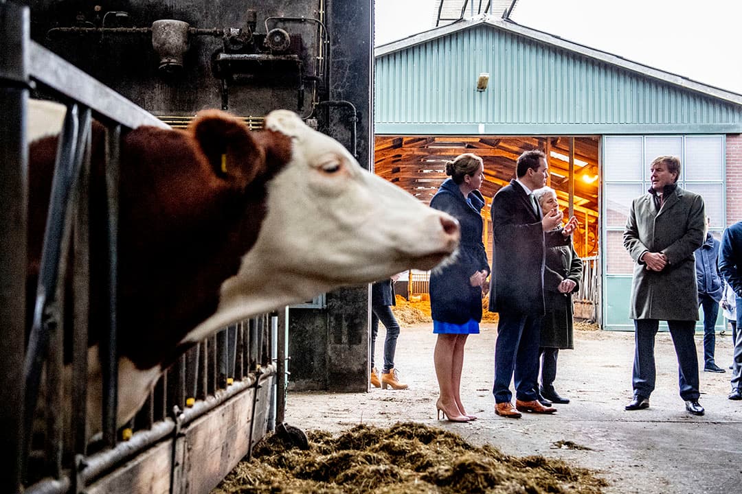 Deze week waren de Rundvee en Mechanisatie  Vakdagen in Gorinchem. Duizenden boeren kwamen naar de beurs om zich te verdiepen in de nieuwste technieken. Bijvoorbeeld een melkstel. - Foto: VidiPhoto