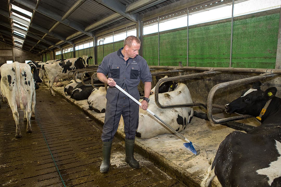 Foto: Peter Roek