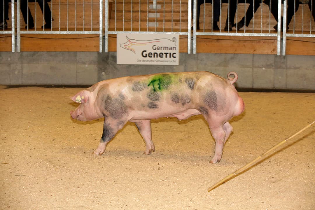 Foto: Henk Riswick