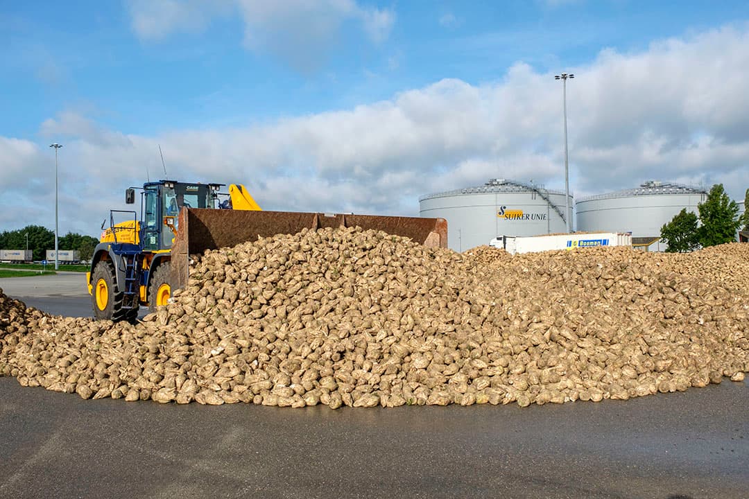 Foto: Roel Dijkstra