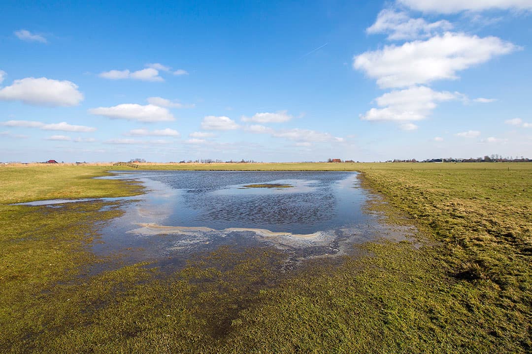 Foto: Anne van der Woude