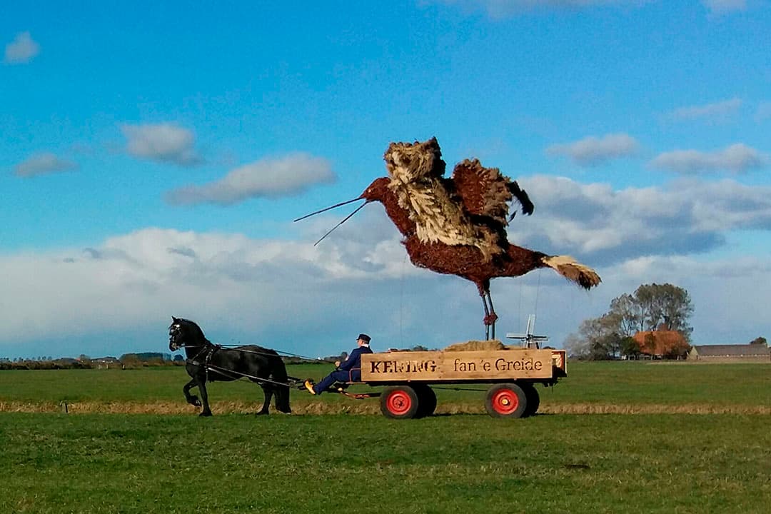 Foto: Janna van der Meer