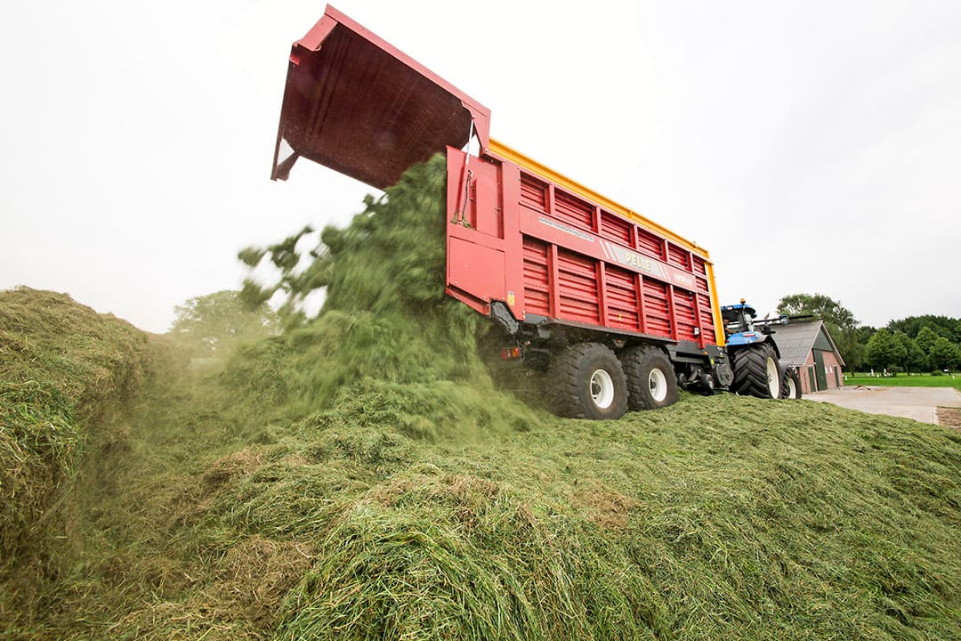 Foto: Koos Groenewold