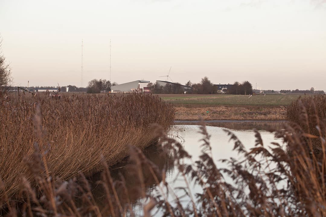Foto: Koos Groenewold