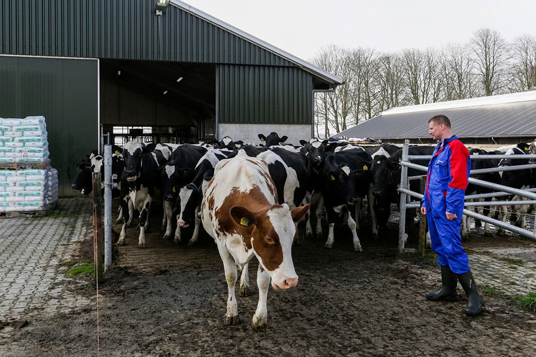 Foto: Jan Willem van Vliet