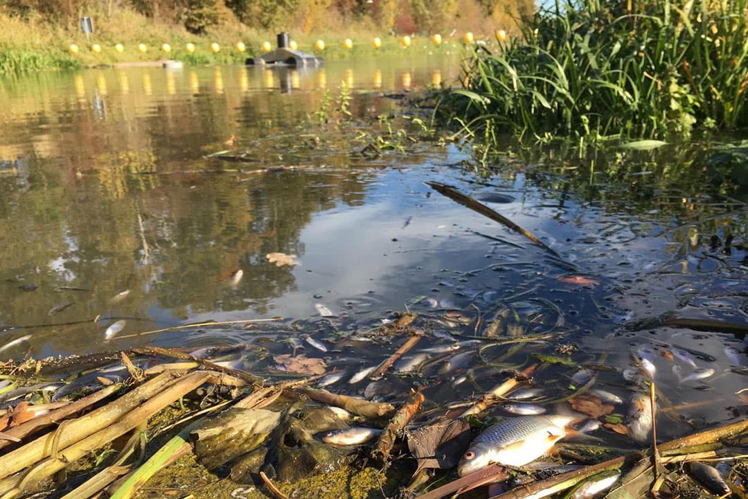 Foto: Twitter Waterschap Rijn & IJssel