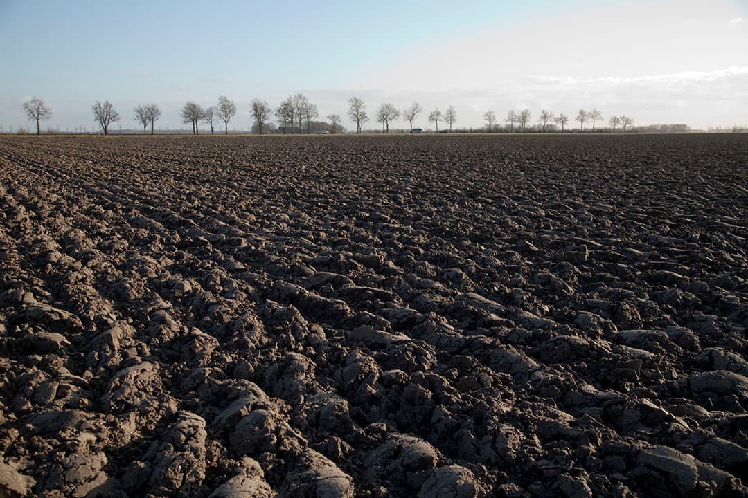 Foto: jan Willem Schouten