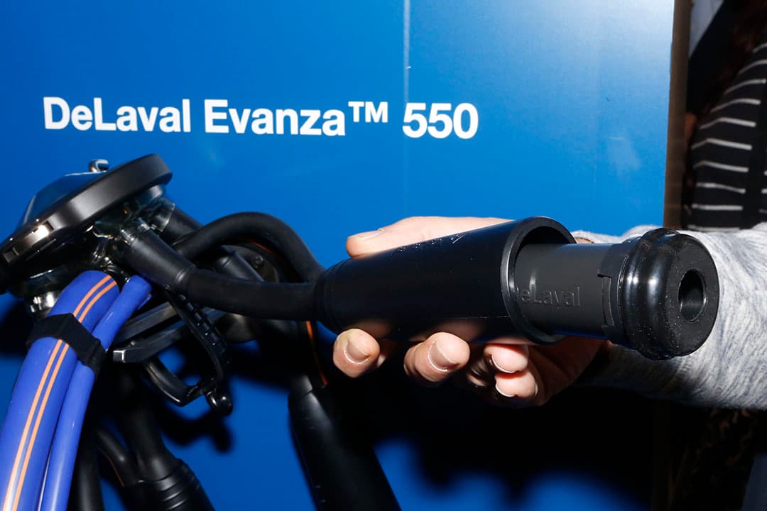 Snel tepelvoeringen wisselen. De nieuwe DeLaval Evanza 550 melkklauw is voorzien van bajonetsluitingen, waarop de tepelbekers worden aangesloten. De tepelvoeringen zijn met een kwartslag los te draaien en eenvoudig te vervangen. Het gewicht van het melkstel is 1,6 kilo. Maar wil je een wat zwaardere melkstel? Er zijn ook uitvoeringen van 2,1 of 2,6 kilo verkrijgbaar. Prijzen zijn nog niet bekend. - Foto's: Henk Riswick