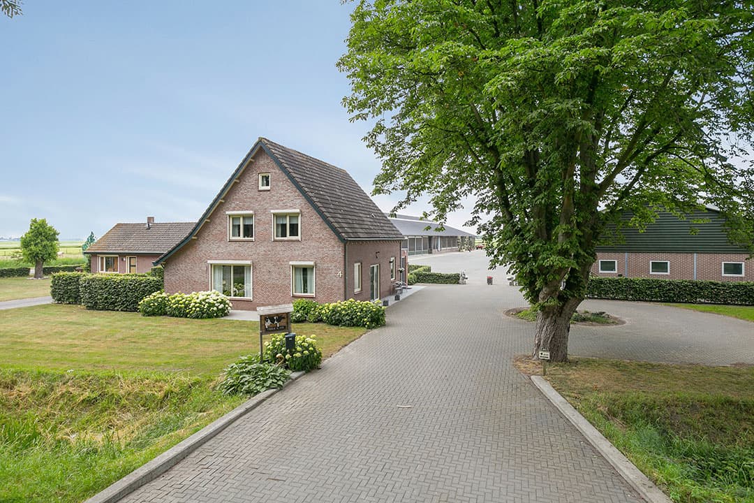Het melkveebedrijf in Drongelen (N.-Br.) omvat een ligboxenstal voor circa 125 melkkoeien en 105 stuks jongvee, een werktuigenloods en 2 bedrijfswoningen op een totale oppervlakte van 47.66.72 hectare. Makelaar is ZLTO Vastgoed Den Bosch. - Foto's: ZLTO vastgoed