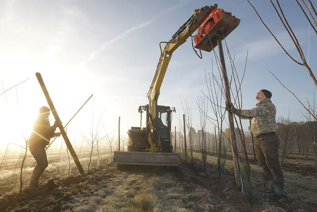 Op de Wageningse proefvelden wordt een gedeelte met de hand geoogst en de rest met de hand. Van beide wordt een monster genomen, in plastic zakken. - Foto: Koos van der Spek