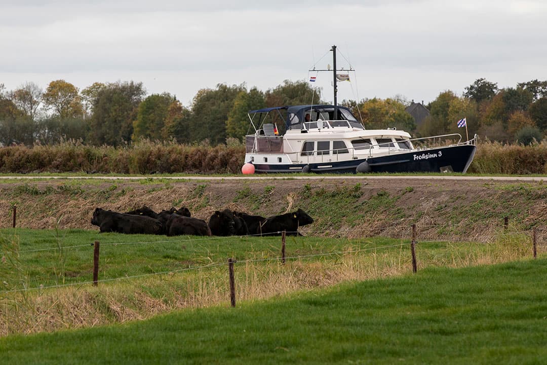 Ter promotie van het Black Angus-rundvlees is ook een groot spandoek langs de A32 geplaatst met een verwijzing naar de website fryskblackangus.nl.  We krijgen daar veel positieve reacties op , zegt Kerkhof.