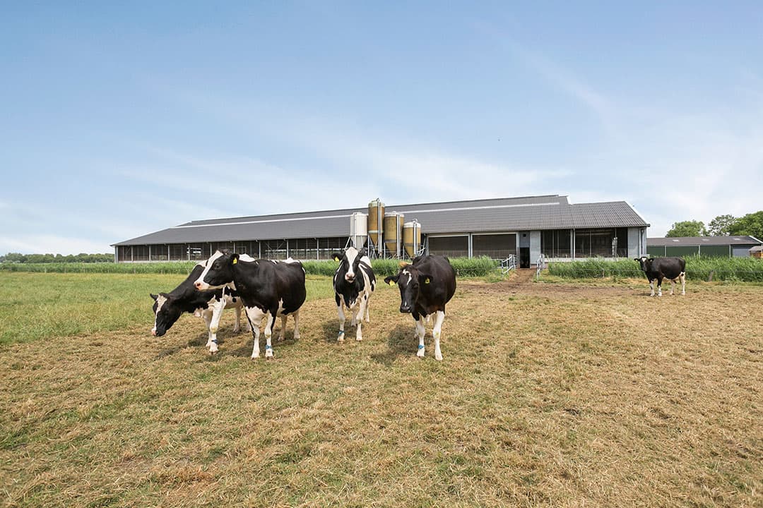 De totale oppervlakte is afgerond 47,7 hectare waarvan circa 1,25 hectare erf/bouwblok. De huiskavel is 30,4 hectare, verdeeld over 3 aaneengesloten percelen. Daarnaast zijn er 4 veldkavels tot maximaal 2,5 kilometer afstand van het bedrijf.