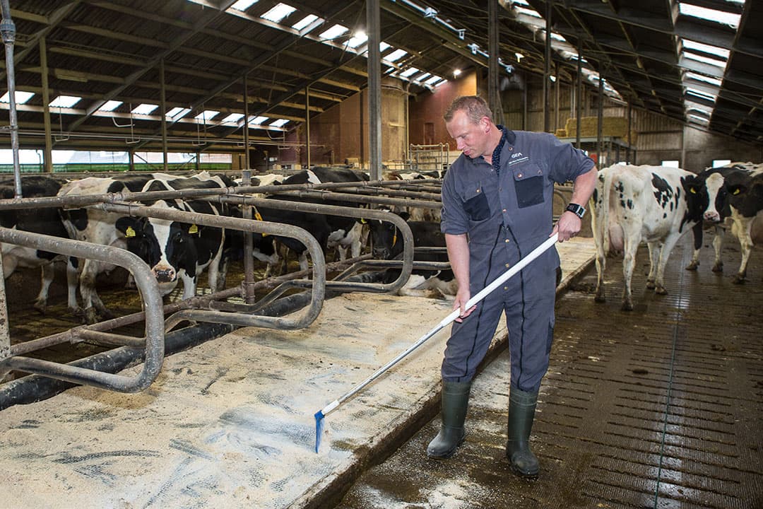 Er is veel meer tijd voor het verzorgen van de melkkoeien en voor onderhoud aan gebouwen en machines.