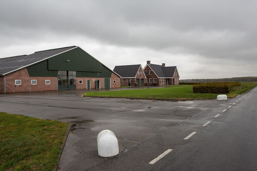 Onze koeien zijn meer melk gaan produceren en dus meer fosfaat. Een groot deel van de vrijgekomen fosfaatruimte is opgevuld door een hogere melkproductie per koe , zegt Janssens.