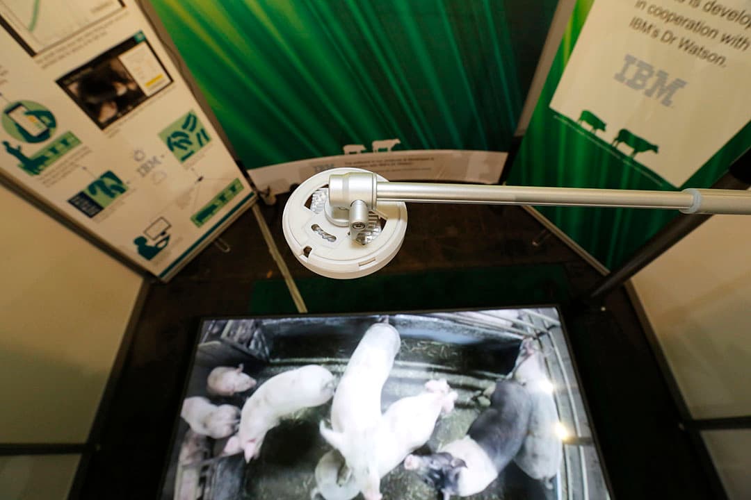 Tijdens Eurotier tekenen Nedap-China en de Chinese bedrijven Yingzi en Yangxiang een overeenkomt voor verdere data-uitwisseling. Namens Nedap tekent ceo Ruben Wegman. Het varkensbedrijf Yangxiang met 130.000 zeugen werkt met techniek van Nedap. Technologiebedrijf Yingzi ontwikkelt het managementsysteem voor Yangxiang en is samen met Nedap gevraagd data over bijvoorbeeld voeropname en gewichtsontwikkeling verder uit werken. De data moeten leiden tot duidelijke actiepunten voor het personeel. De toegevoegde waarde van hun techniek wordt op deze wijze groter, zegt Nedap.