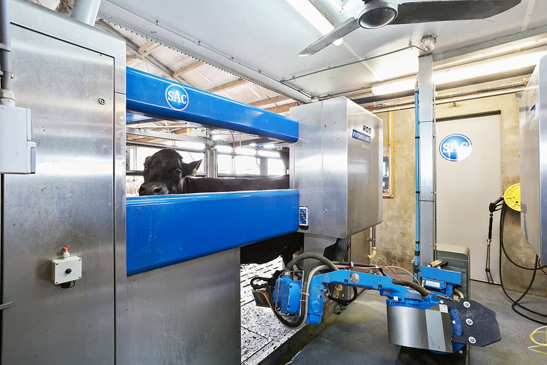 De koeien worden gemolken in een dubbel automatisch melksysteem. De melk gaat in een tank van 11.150 liter. Er is ruimte om een tank van 18.000 liter te plaatsen.