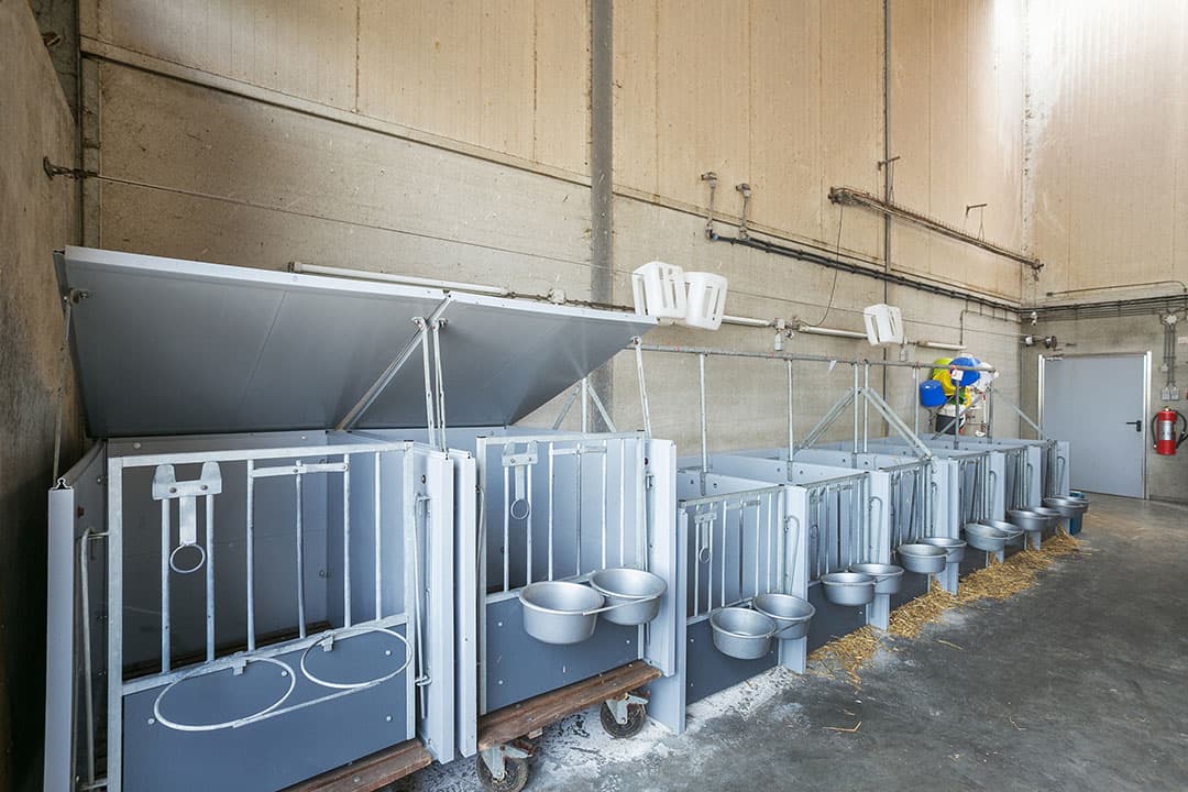 De machineloods en op de achtergrond 3 sleufsilo s en 2 kuilplaten. Het erf is voorzien van zuurbestendig asfalt. Onder het hele erf liggen mantelbuizen zodat leidingen netjes weggewerkt kunnen worden.