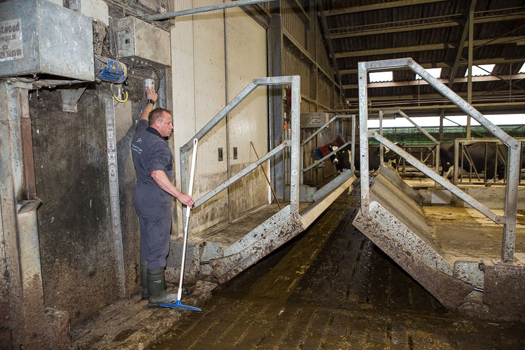 Het Brabantse bedrijf melkt met een 22-stands carrousel. Een aantal keer in de week melkt Karen den Boer of een zzp er.
