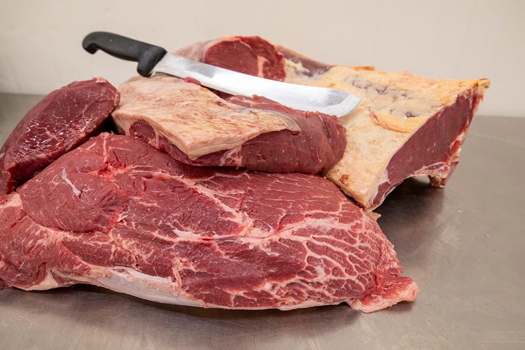 Het Black Angus-vee loopt tot begin december in de wei, zolang het niet te nat is.