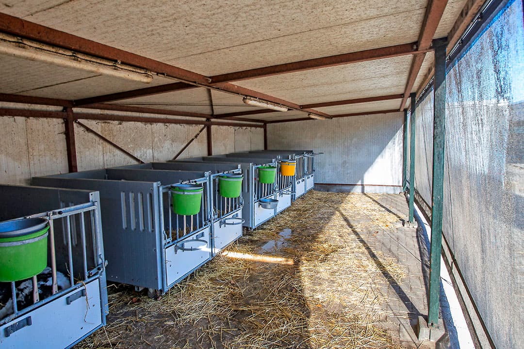 Begin november waren de eerste werkzaamheden afgerond; de keldervloer gestort en de putwanden gemetseld. De leidingen worden nu verder aangepakt en binnenkort worden de eerste roosters gelegd.