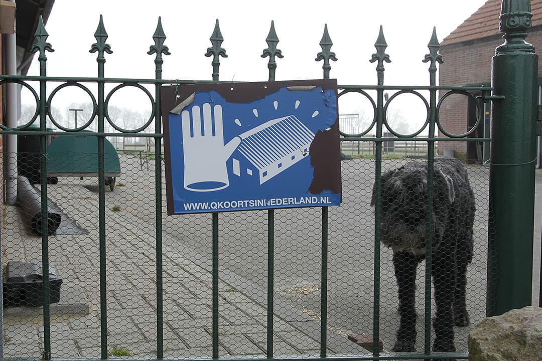 Foto: Peter Roek