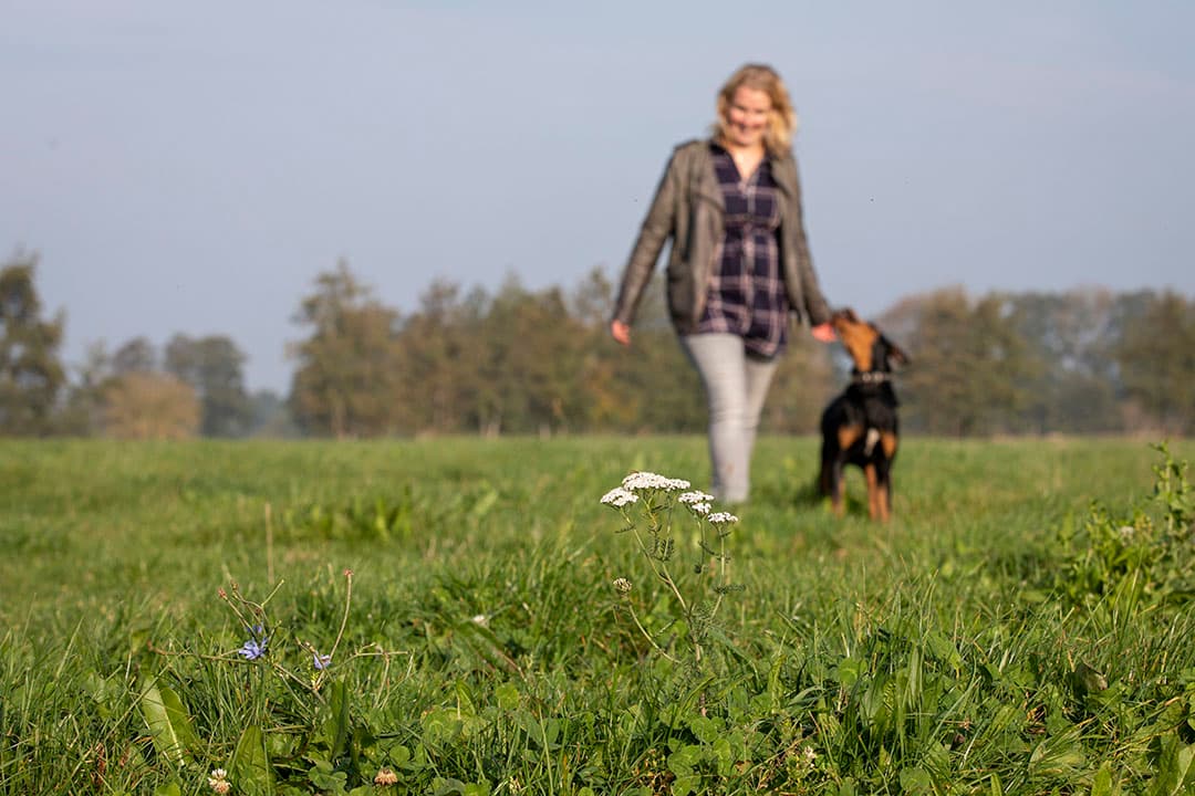 Foto: Anne van der Woude