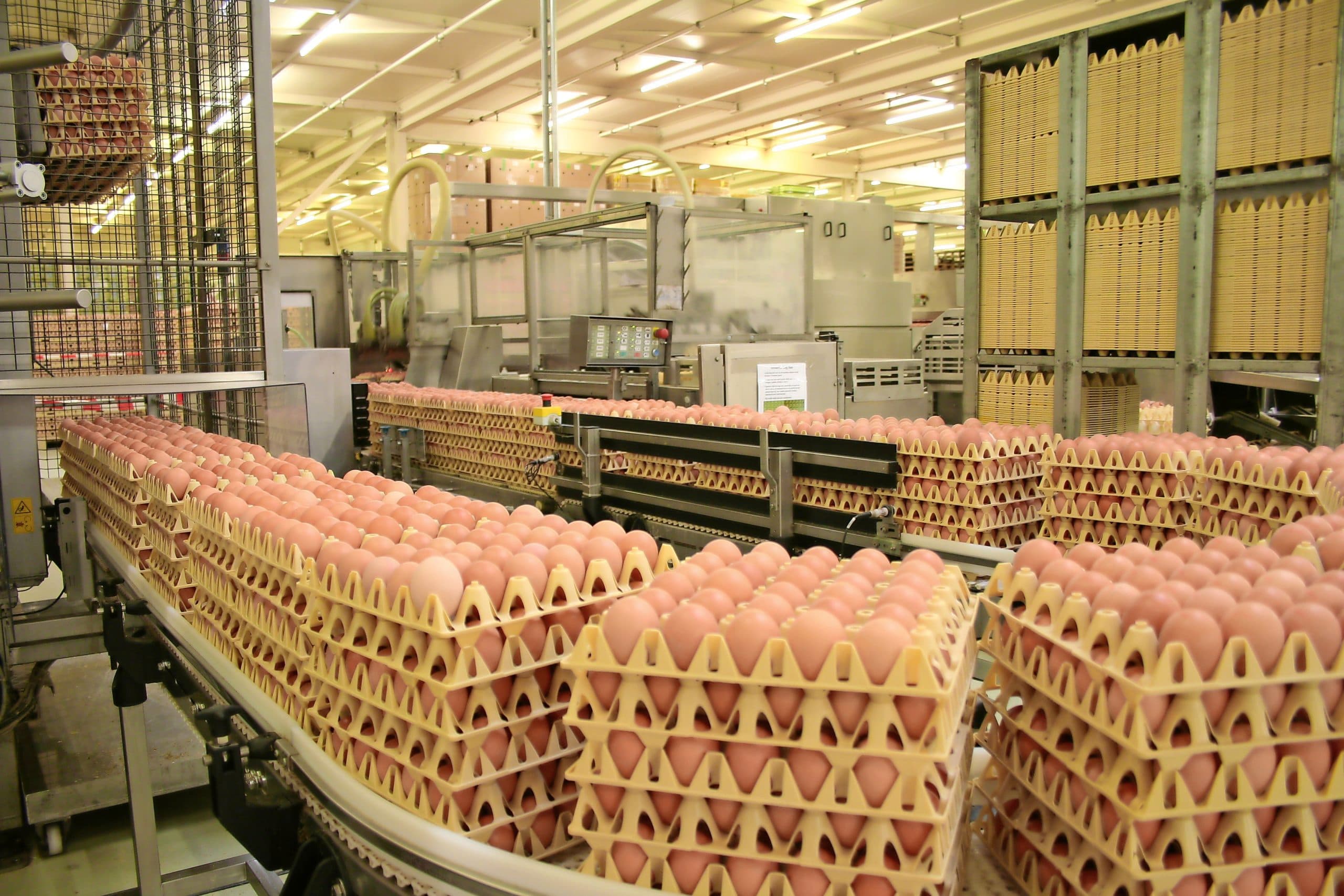 Eierhandelaar moet ingehouden eiergeld alsnog betalen.