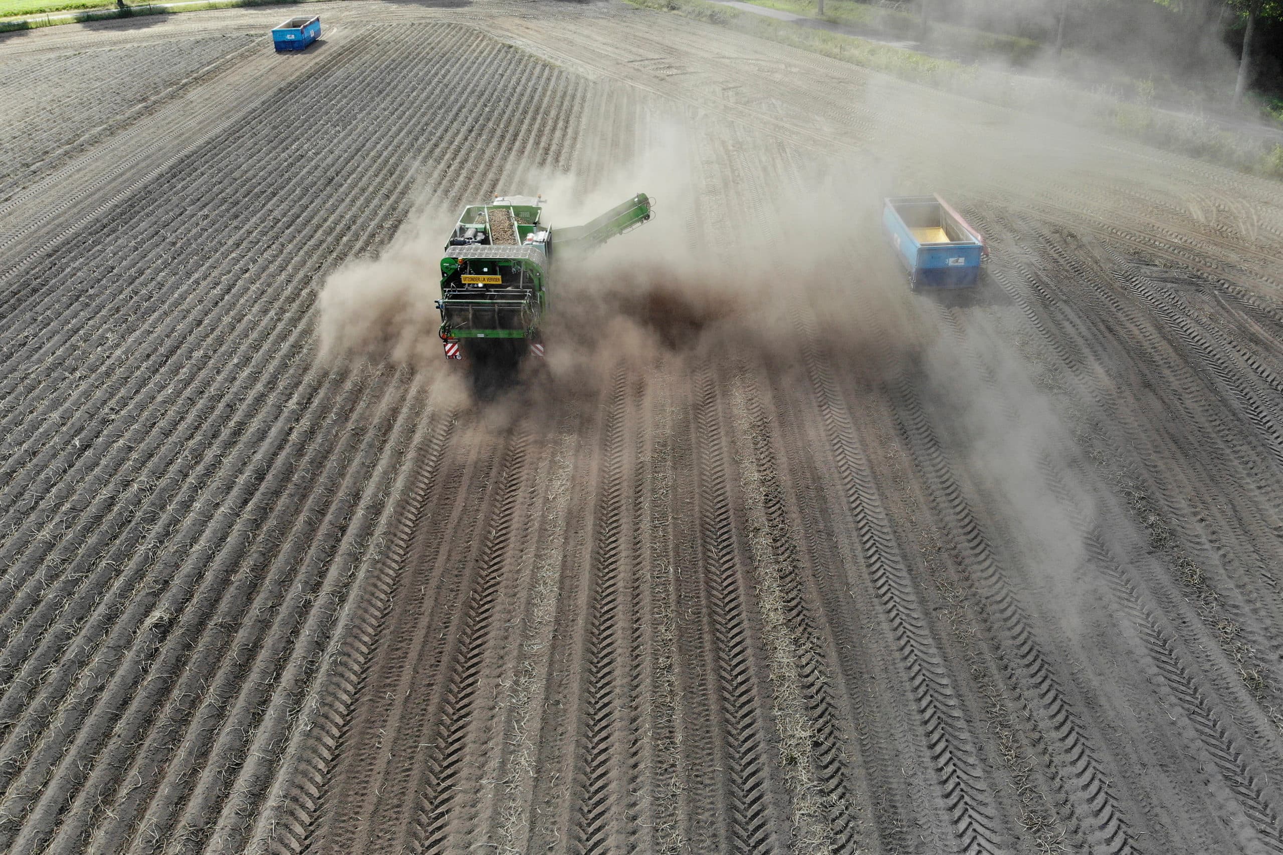 Foto: Hans Prinsen