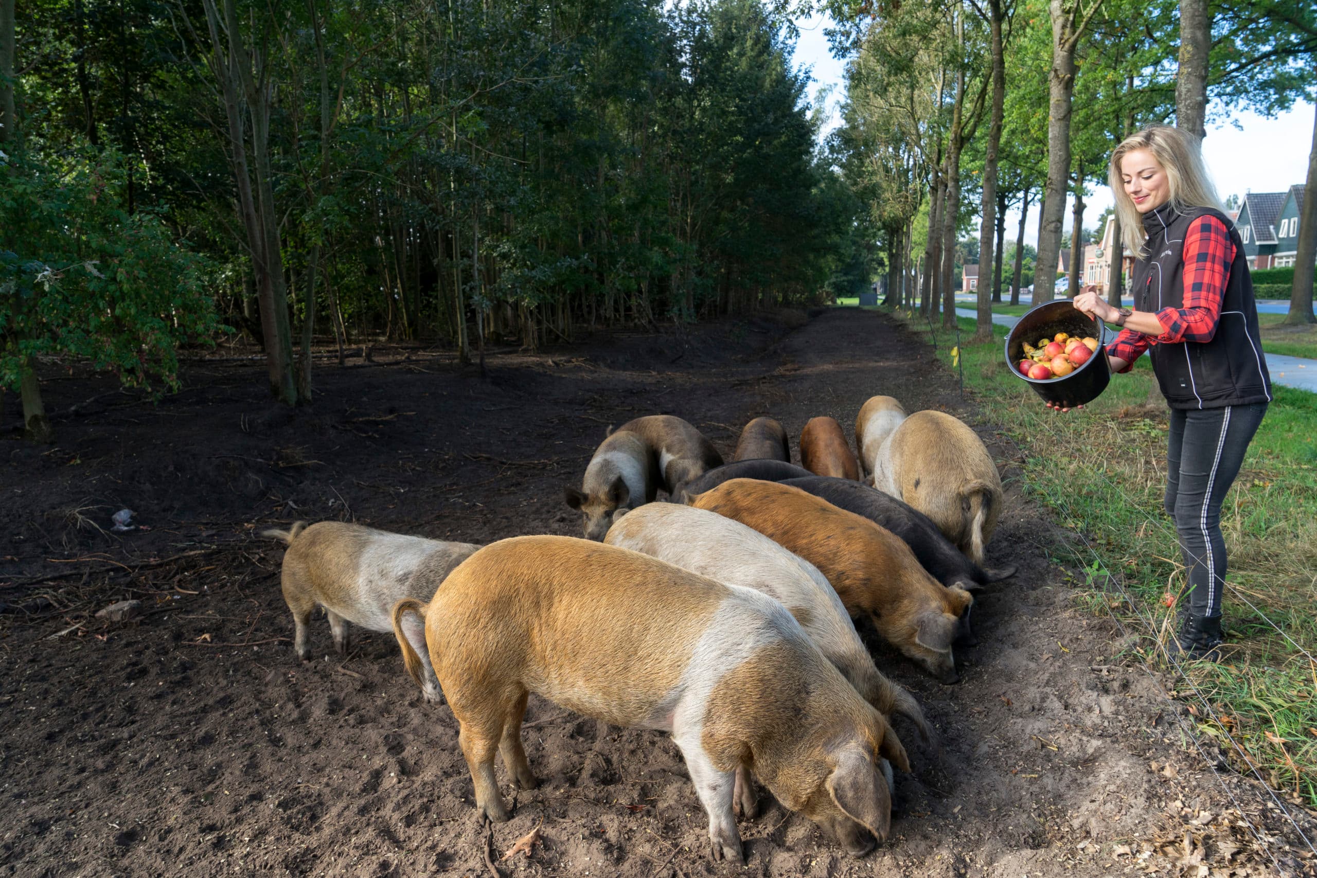 Foto's: Jan Willem van Vliet
