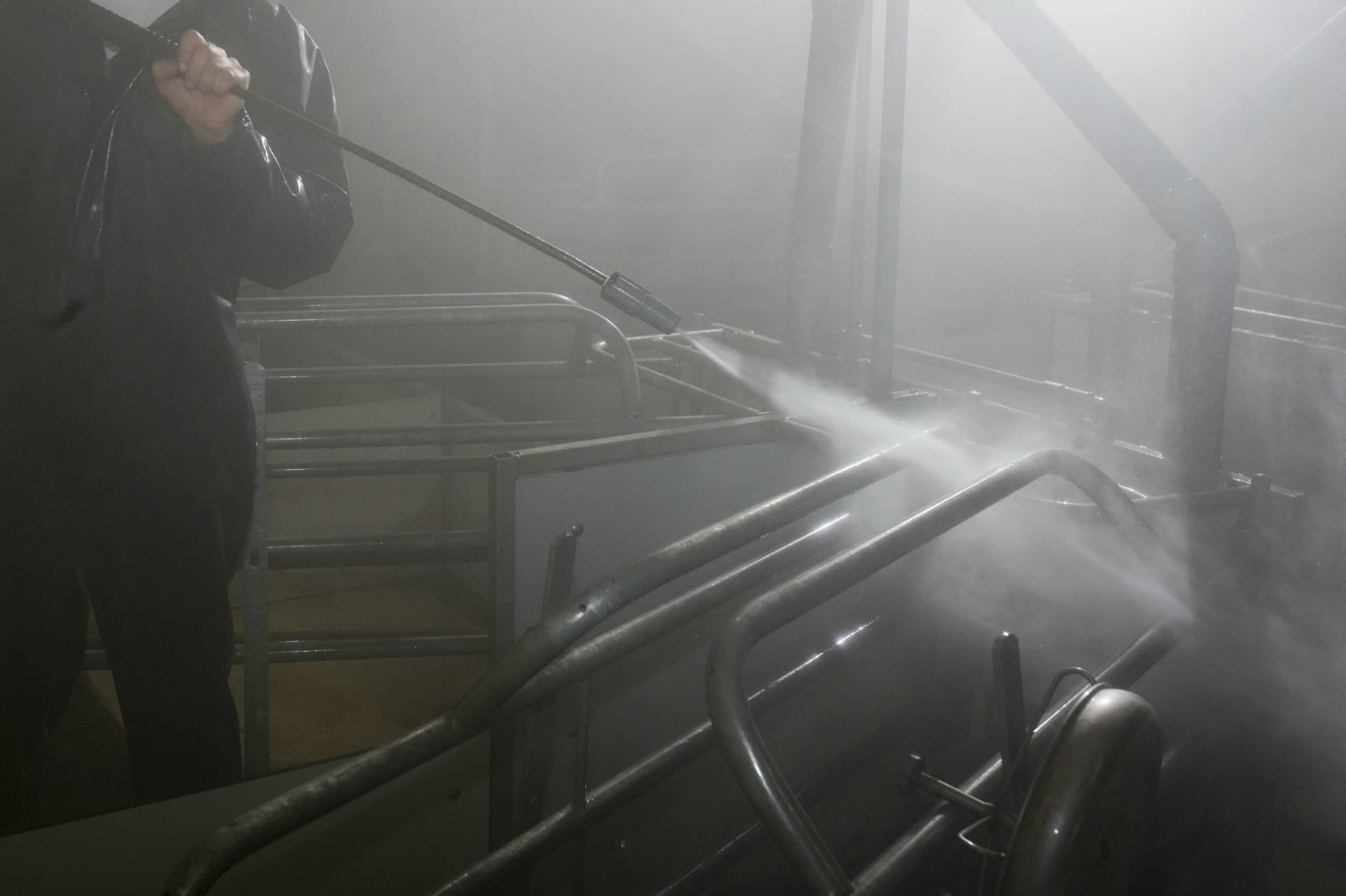 Foto: Jan Willem Schouten