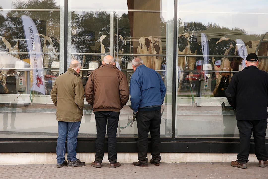 Foto: Hans Prinsen