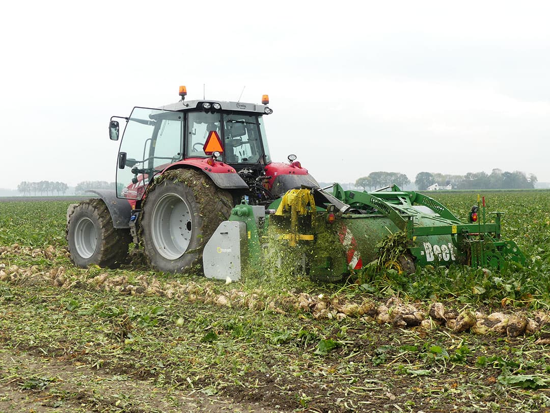 Er blijven liefhebbers voor het zwadrooien van bieten. Veel merken zijn er niet meer maar machinefabrikant Franquet maakt nog steeds zwadrooiers. Een impressie. - Foto's: Martin Smits