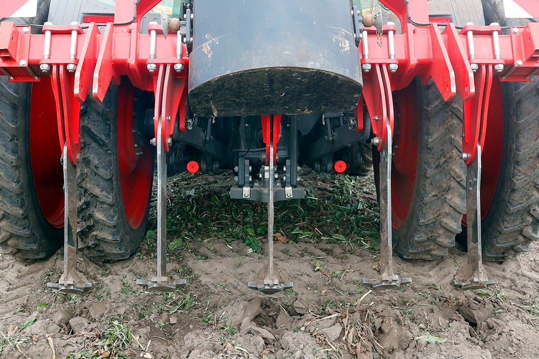 Loonbedrijf van Gog Agri service rooit in Liessel een perceel cichorei. Voor het rooien trekt Van Gog de grond tussen de rijen los. - Foto's: Bert Jansen