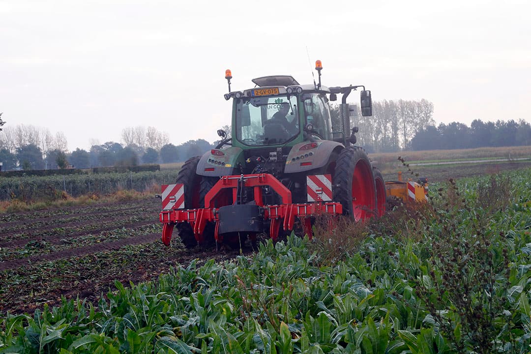 Om stropen van het loof te voorkomen, werkt Van Gog met een loofklapper voor op de trekker. Deze voert het blad naar de zijkant af.