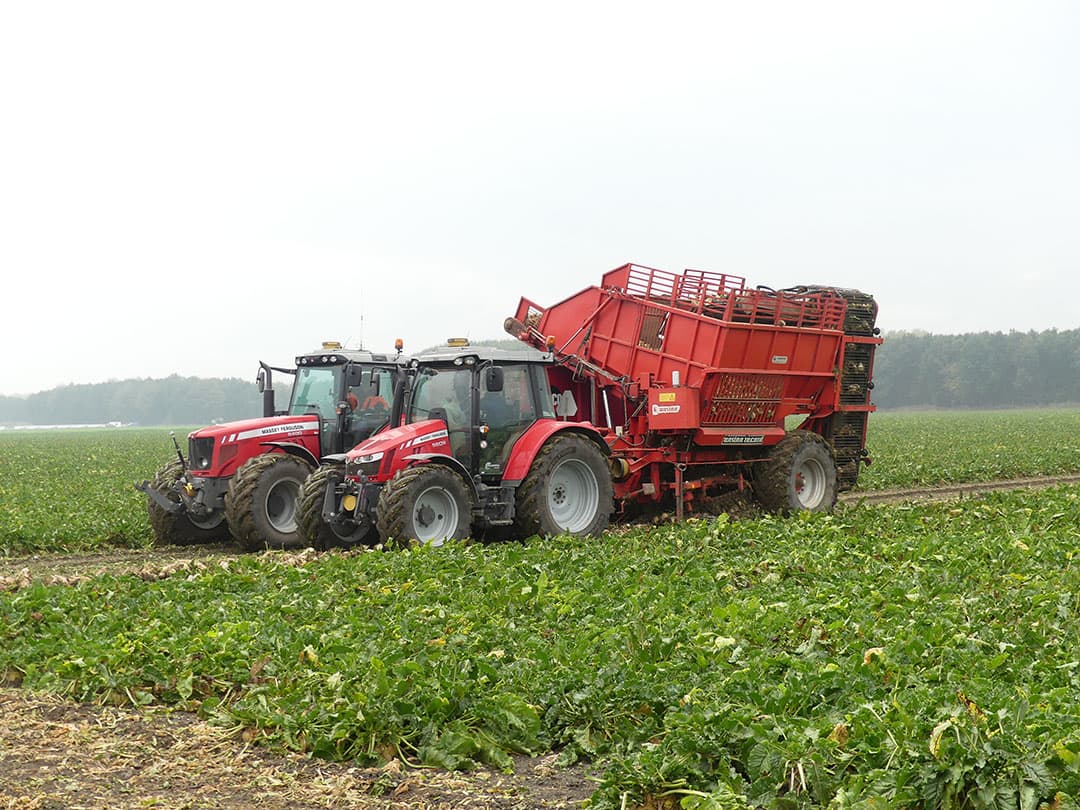 De rubberen hoezen zijn de afdichting van de as waarop de lichters zijdelings kunnen schuiven om de rij te volgen. Een systeem dat we van vroeger kennen van Kleine en dat wat principe betreft destijds door Agrifac is overgenomen. De tastwielen dienen niet voor diepteregeling, maar zijn een optie in combinatie met rubberen uitwerpers boven de scharen.