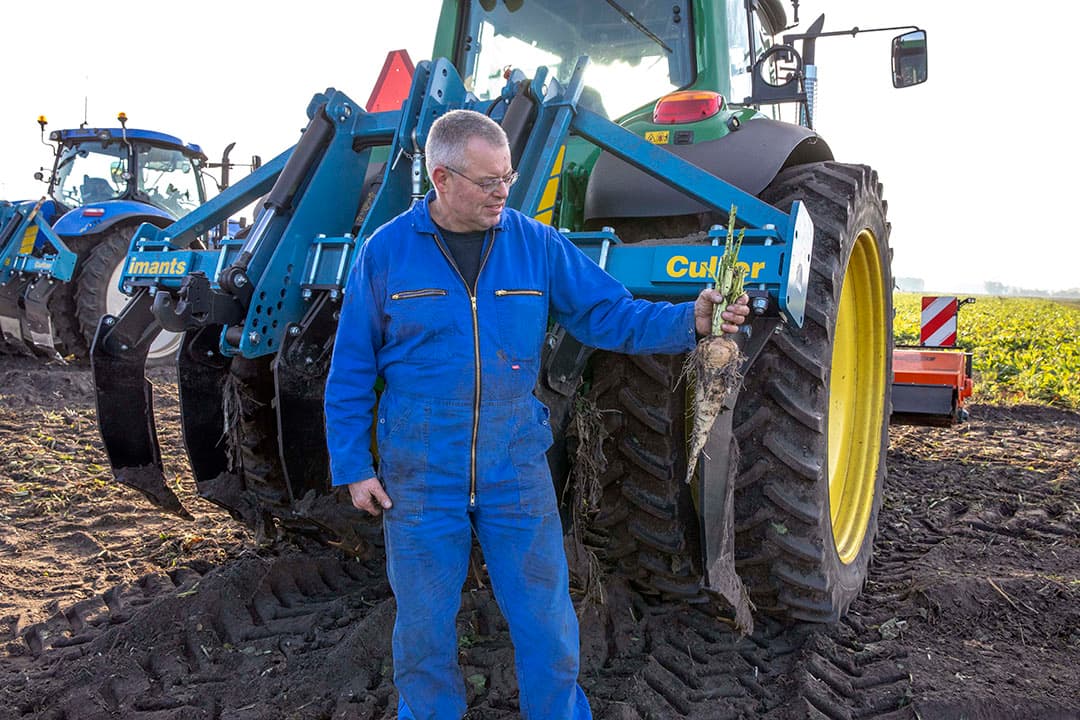 De ontbladeraar van de rooier hoeft alleen nog maar de laatste restjes blad van de wortels te poetsen.