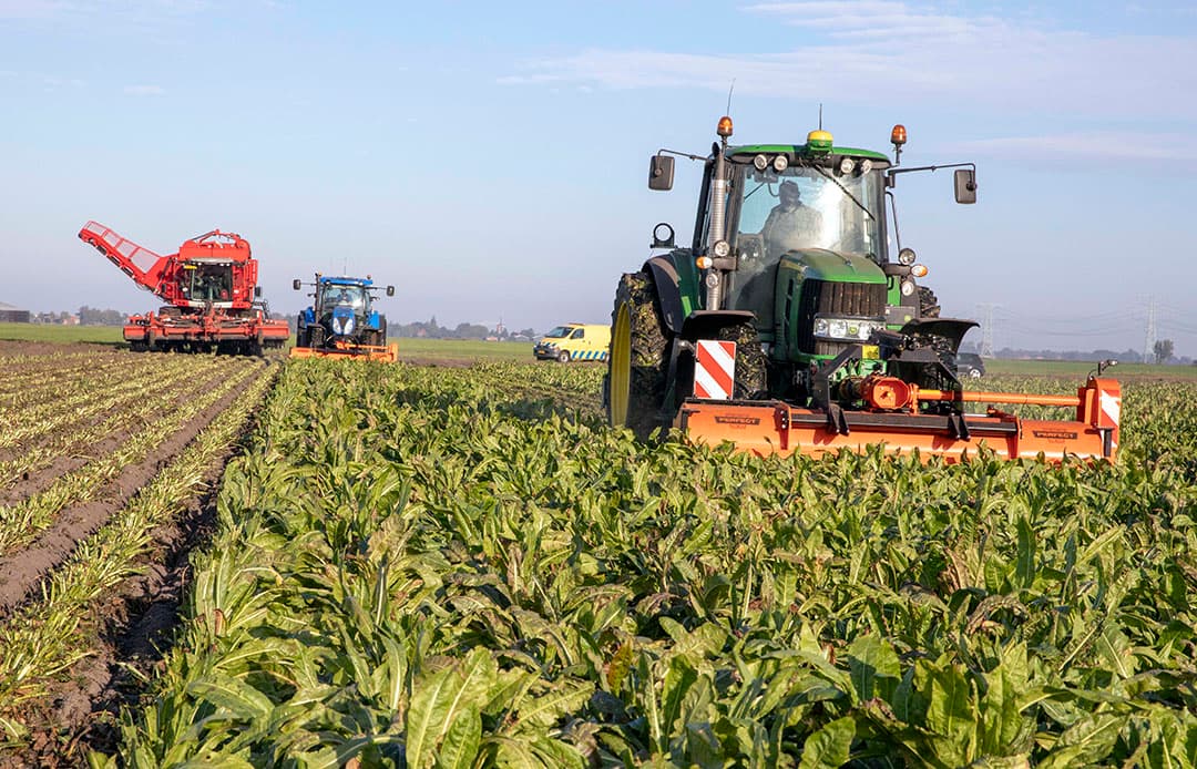 In Nieuwe Pekela (Gr.) koos akkerbouwer Geert Smit er ook voor om voor het cichoreirooien de grond eerst los te trekken om daarmee puntverliezen te voorkomen. Hij gebruikt hiervoor de voorzetwoeler van de spitmachine. Smit werkt met smalle beitels, hij schat de werkdiepte op 35 tot 40 centimeter. - Foto: Koos van der Spek
