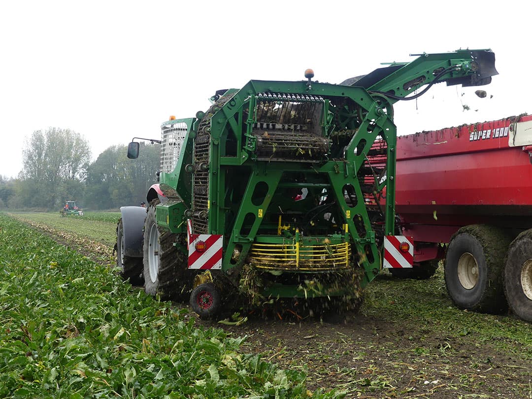 Een aantal telers die met zwadrooiers werkt, probeert zo goed mogelijk gebruik te maken van de mogelijkheid om bieten in het zwad te laten opdrogen. Dat is typisch een werkwijze die een loonwerker slecht past. Vers gerooid bietenland is altijd plakkerig, ook als het droog weer is. Na een paar uur drogen plakt het bovenop veel minder en blijven banden van trekkers en kippers beter schoon.