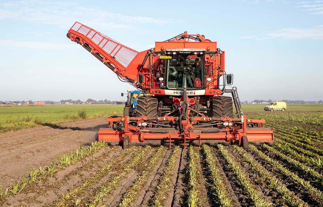 De klepelmaaiers slaan het blad zo fijn dat de rooier er geen last van heeft. - Foto: Koos van der Spek