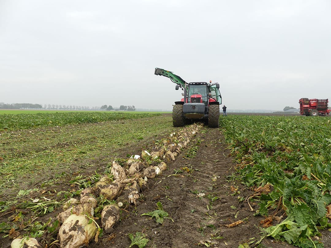 De nakoppers hebben een kopdikteregeling en hebben een instelbare veerbelasting. Aanpassen van de druk op de koppers kan nodig zijn om hoogteverschillen tussen bieten zo goed mogelijk te volgen. Het mes is in een sleufgat te verstellen, maar verdere stelmogelijkheden zijn er niet.