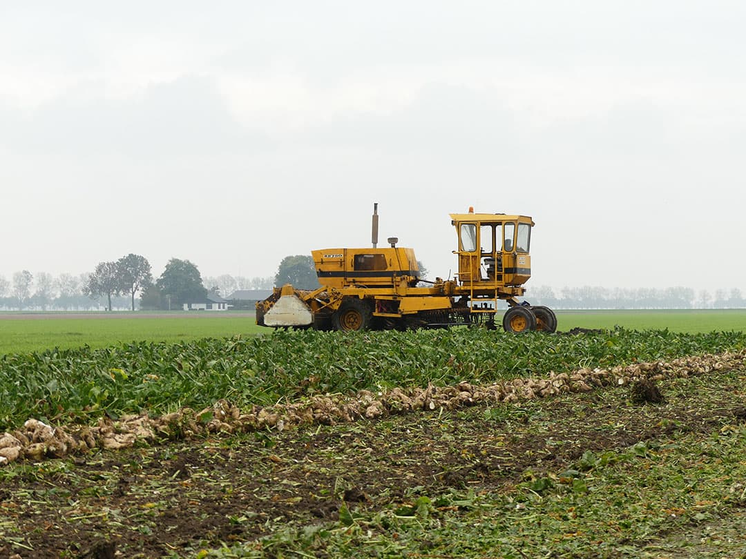Rechts duidelijk herkenbaar, het excentriek van de aandrijving van de rooischaren. De cilinders bovenop dienen alleen om het wielstel voorop over de kop te trekken voor transport. De korte steil staande cilinders dienen om de hoogte van de ontbladermachine in te stellen.