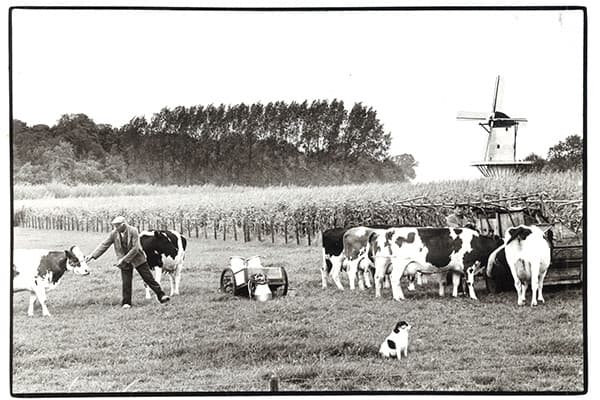 Foto: Misset